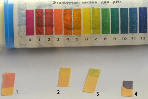 лакмусовые бумажки